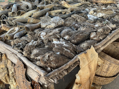 Akodessewa Fetish Market-洛美必去景点