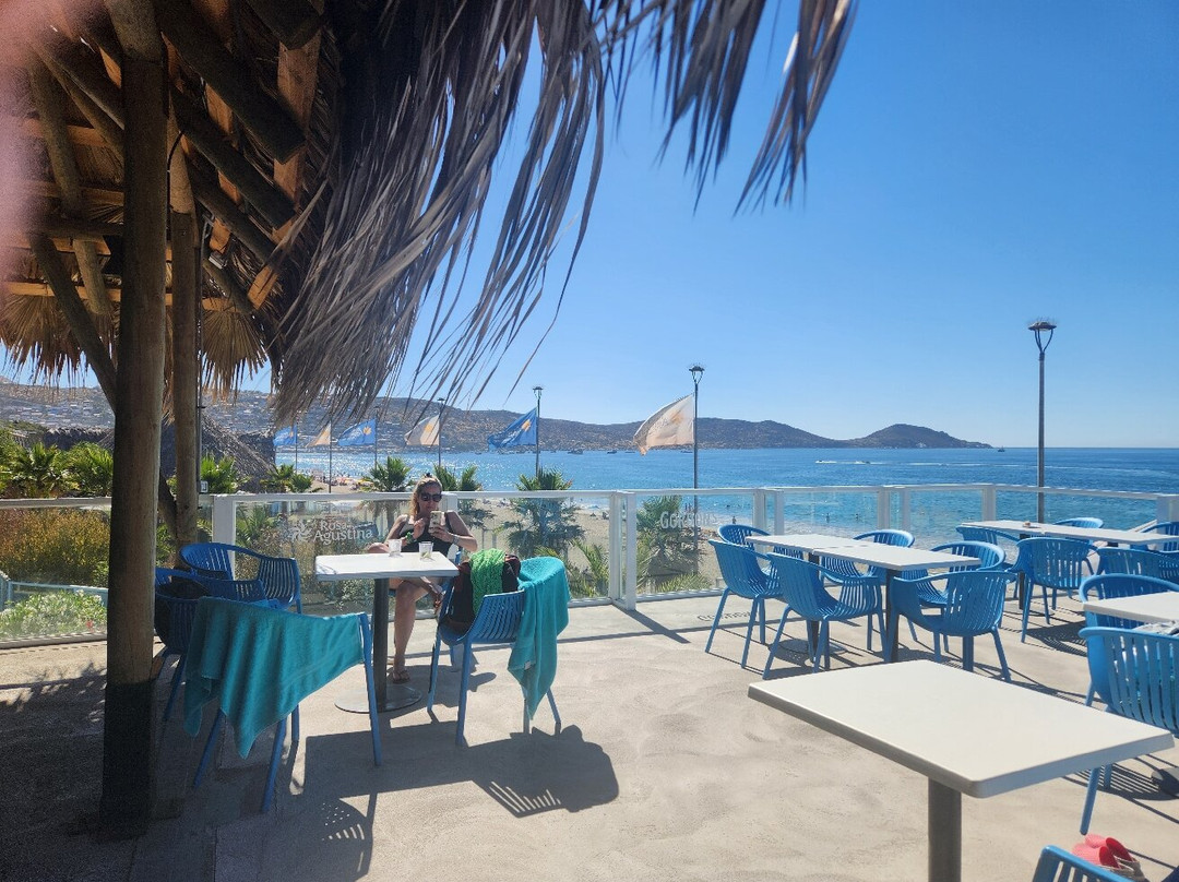Rosa Agustina Guanaqueros Resort