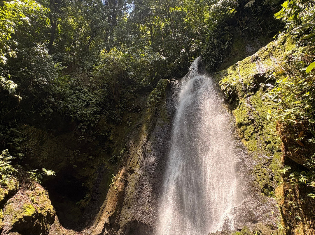 Sukia Travel-德雷克湾必去景点