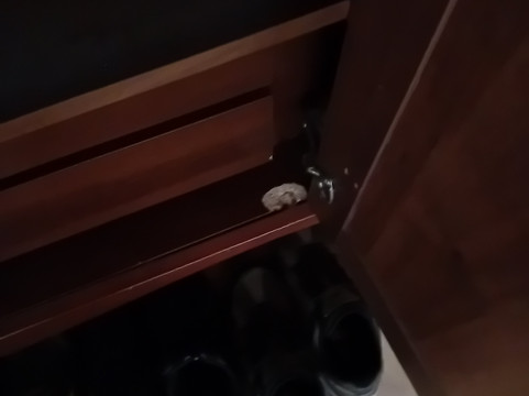 卡菲欧蕾酒店主图