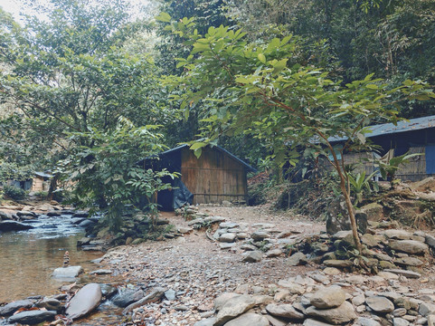 Trekking Orangutan Sumatra-武吉拉旺必去景点