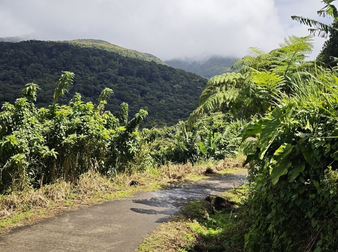 Cascades du Bassin Bleu-Gourbeyre必去景点