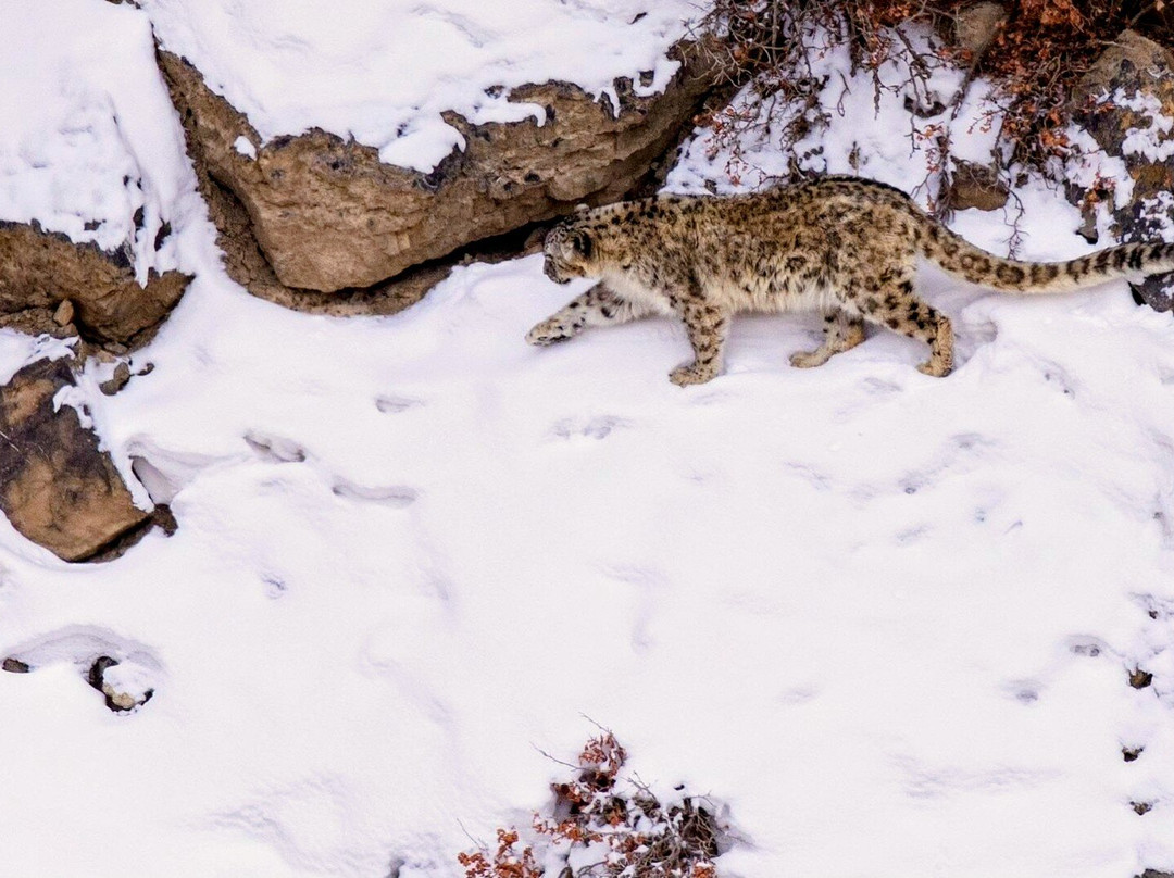 Nature Wanderers-Ramnagar必去景点
