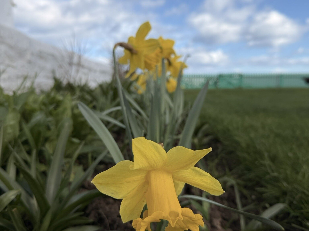 Souter lighthouse-南希尔兹必去景点