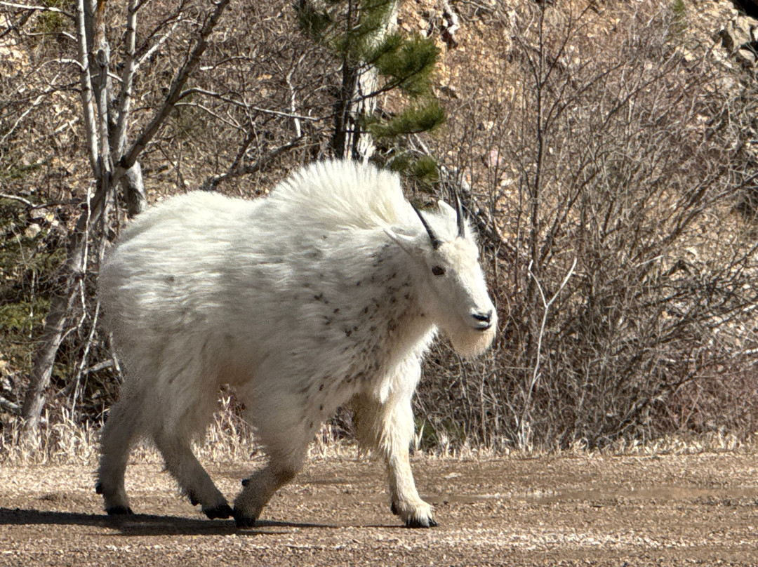 Spearfish Canyon Scenic Byway-Spearfish必去景点
