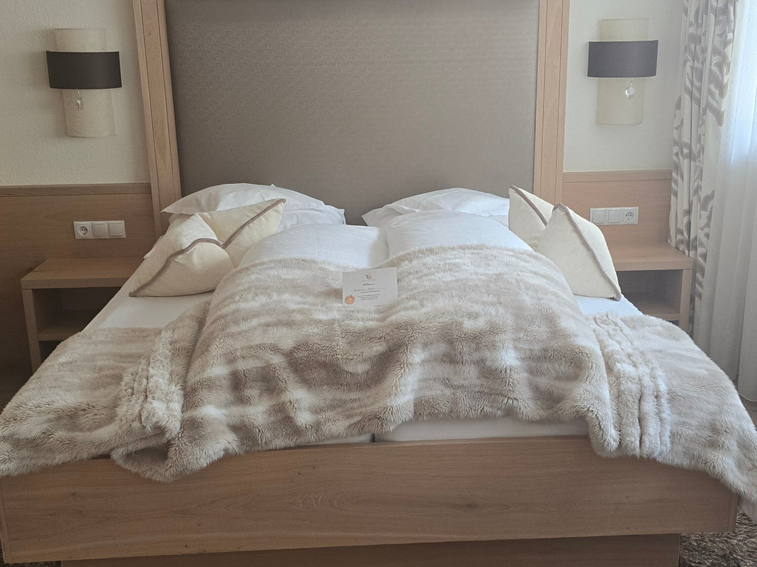 伊施格尔波斯特高级酒店主图