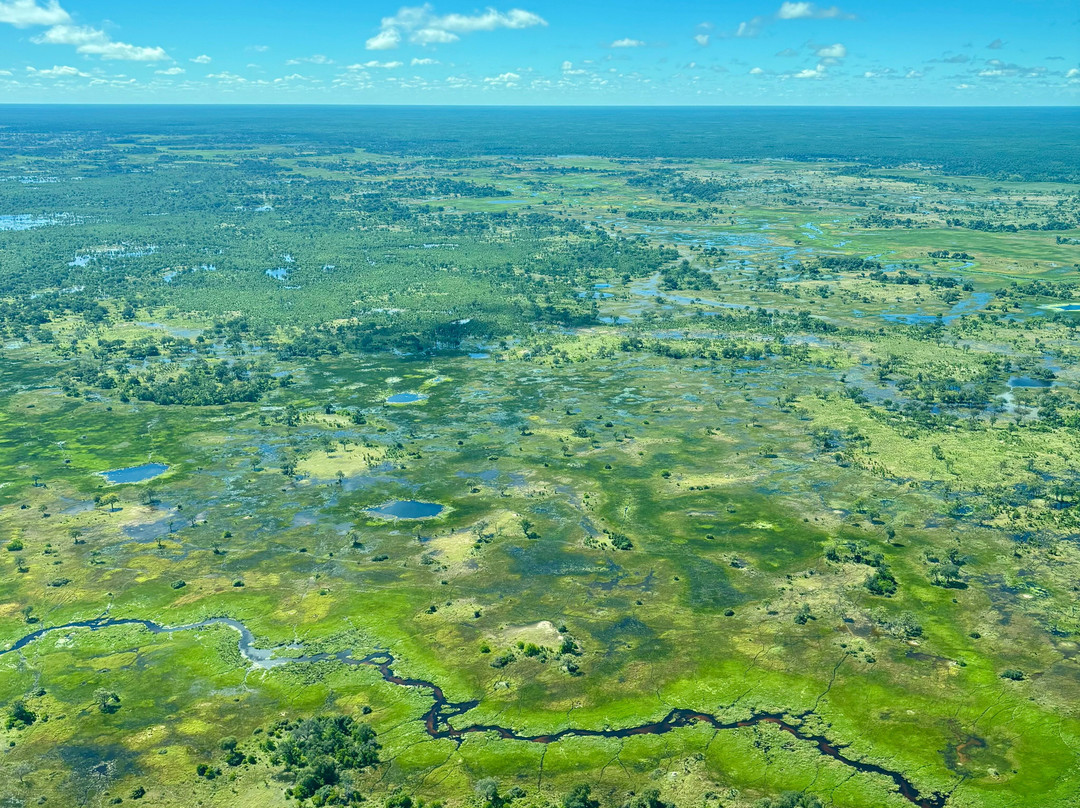 Anywhere in Africa Safaris-开普敦中心区必去景点