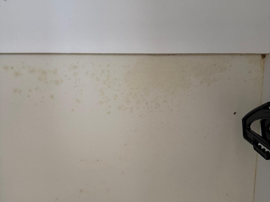 福斯特汽车旅馆主图