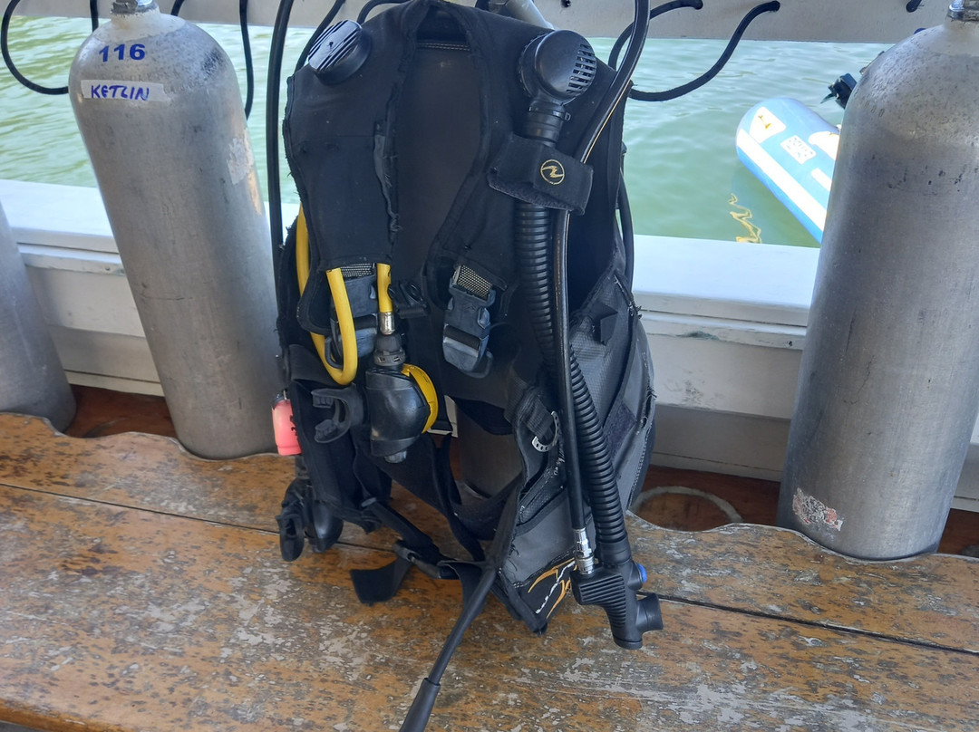 Narwhal-伊利亚贝拉必去景点