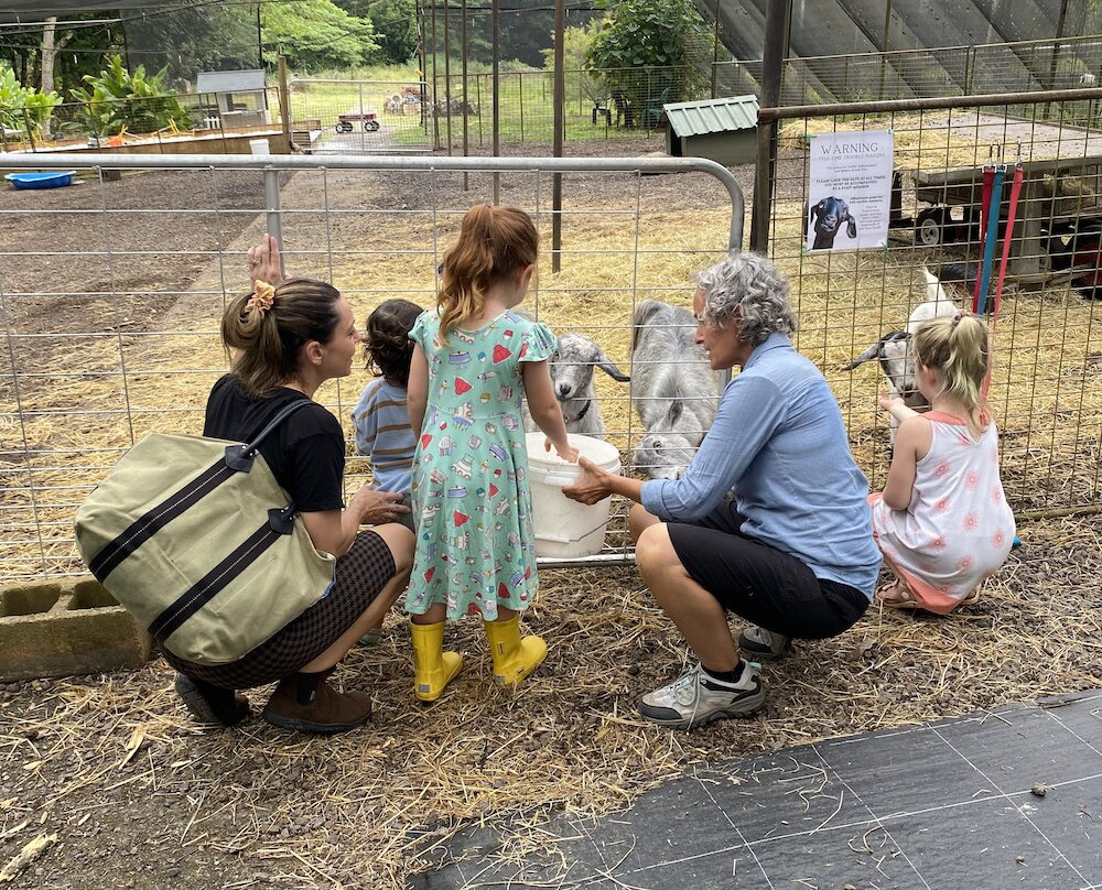 Fairhill Native Botanic Garden-Ninderry必去景点