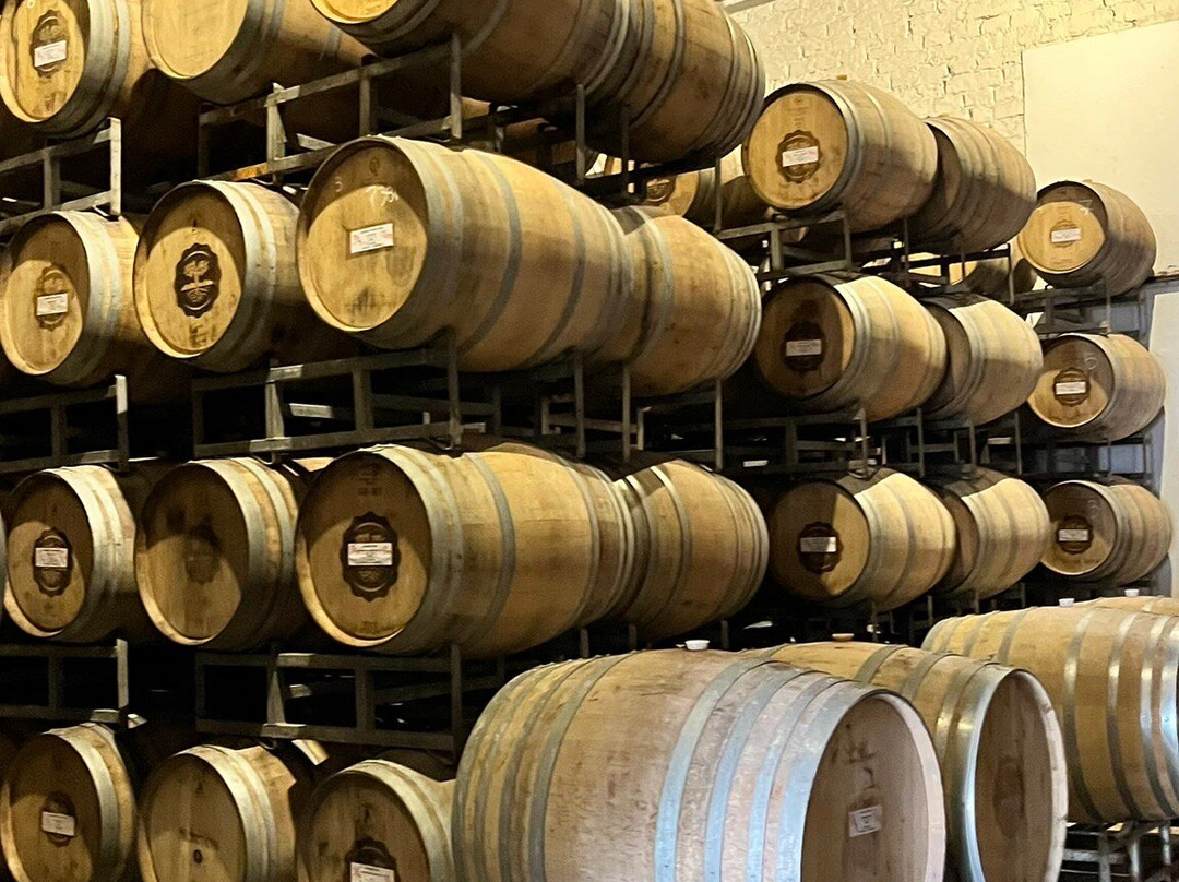 Bodega Norton-路冉得库约必去景点