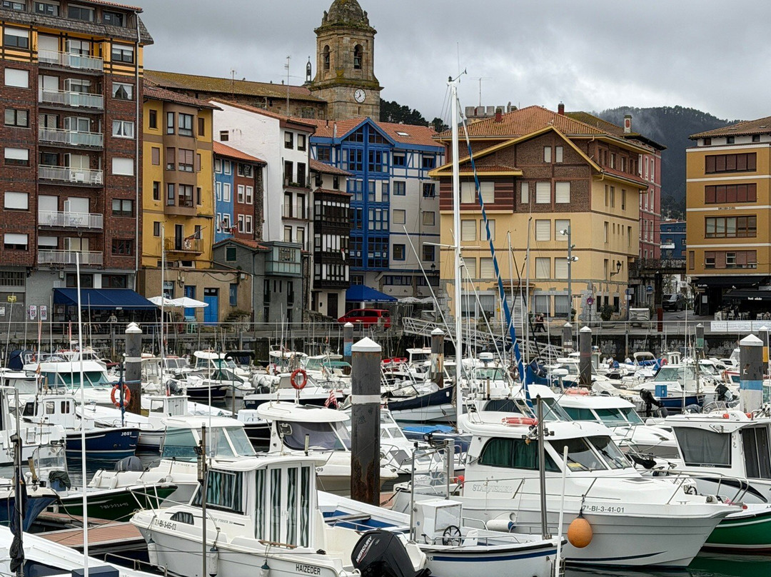 ToursByBasques Private Guided Tours-毕尔巴鄂必去景点