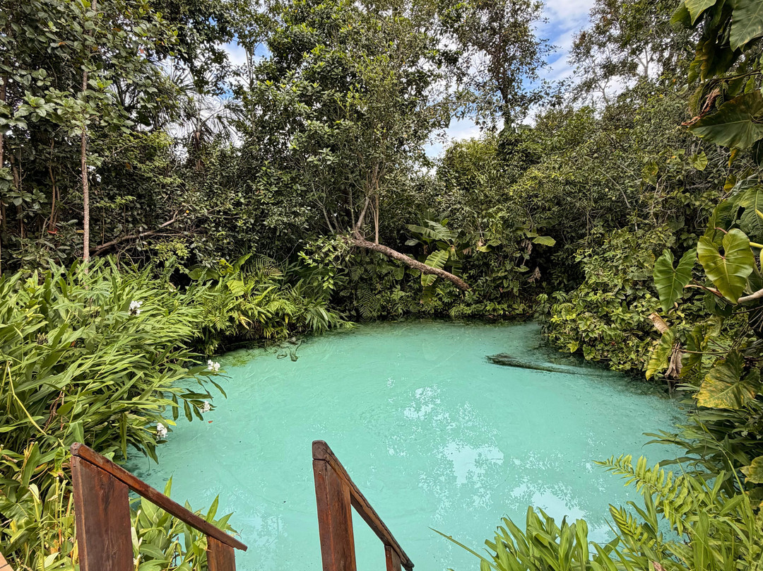 Cenario Nativo Expedicoes-Mateiros必去景点