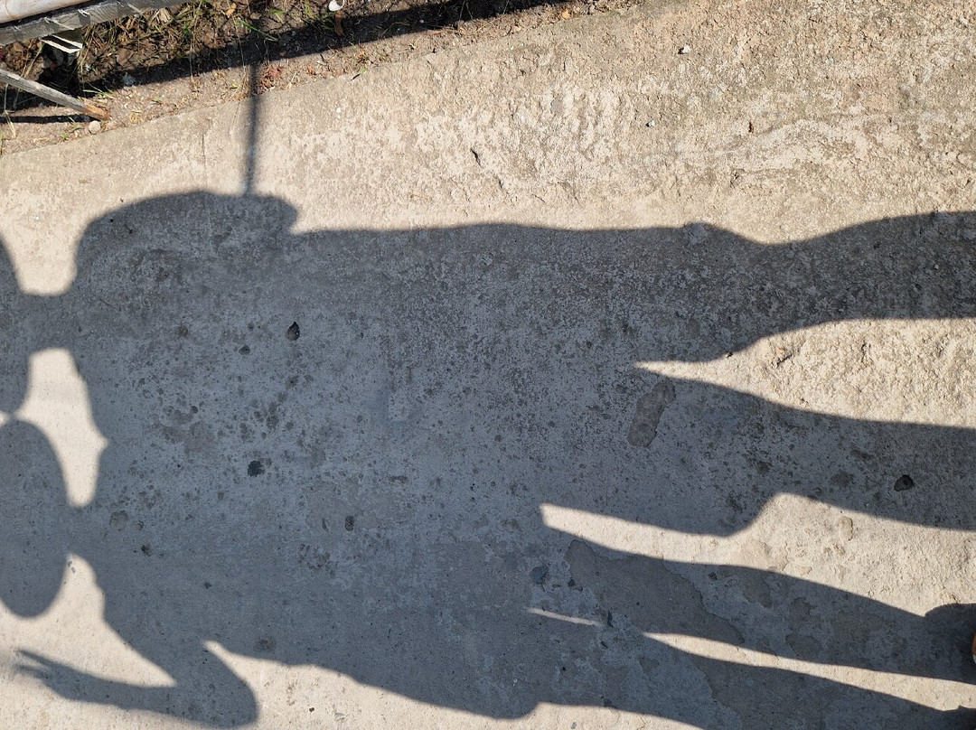 Can Tho Touring with Susan-芹苴必去景点