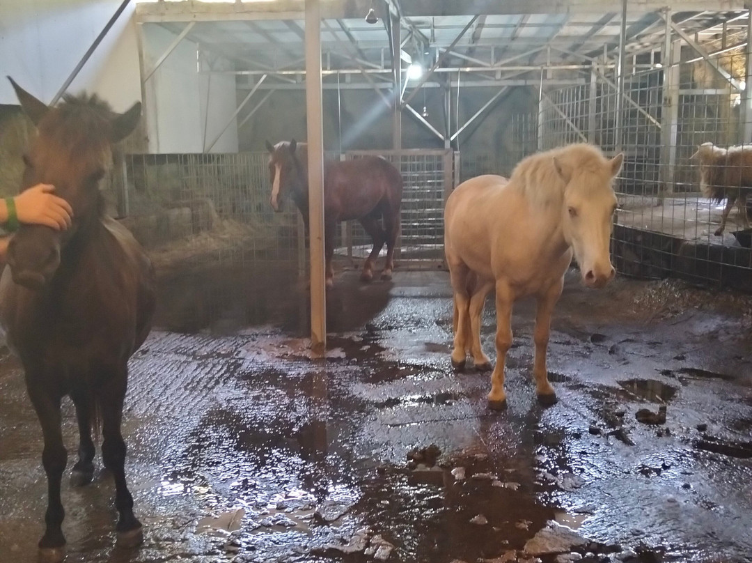 Hot spring Park-岘港必去景点