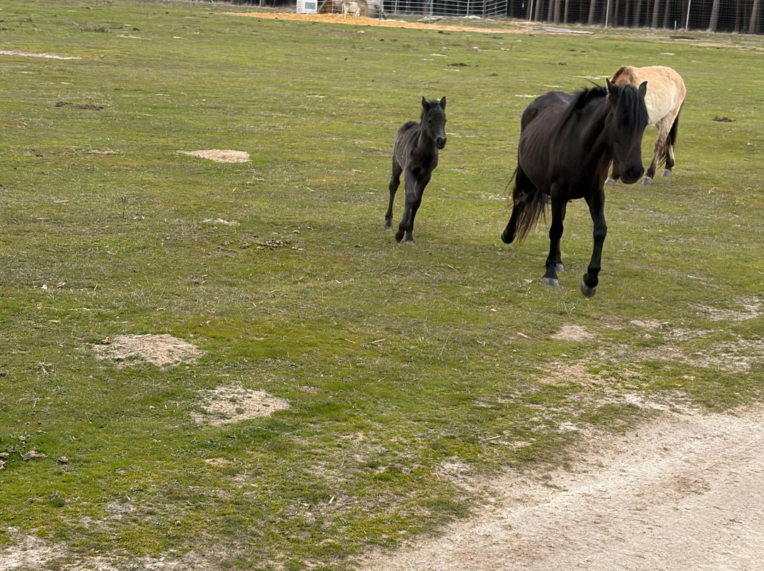 Paleolitico Vivo-布尔戈斯省必去景点