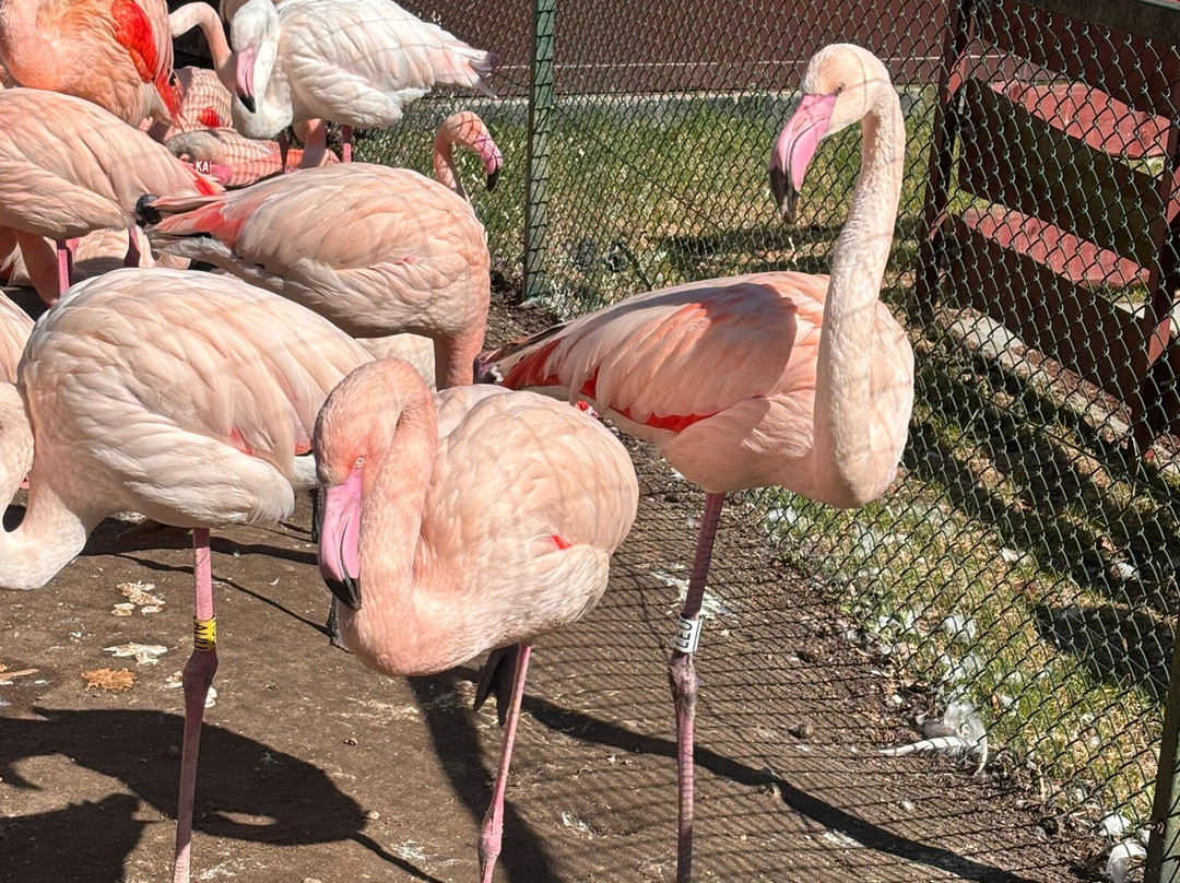 Oliwa Zoo-格但斯克必去景点