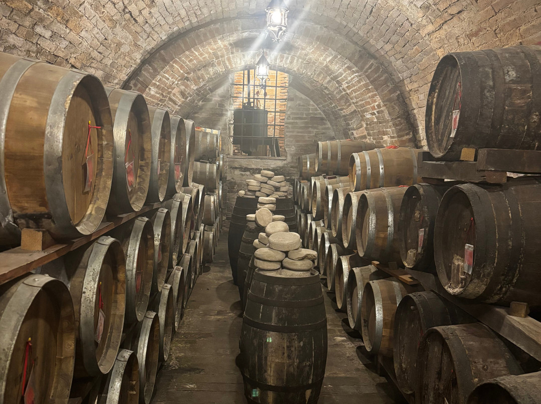 Azienda Agricola Ercolani-蒙特普尔恰诺必去景点