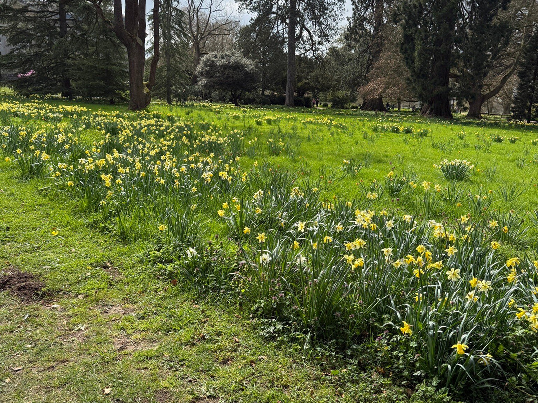 Ickworth - National Trust-Horringer必去景点