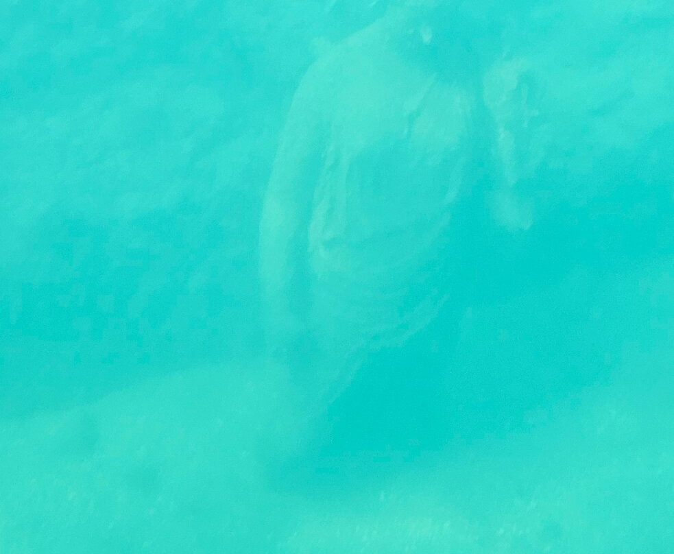 Nemosub Baia-Baiae必去景点