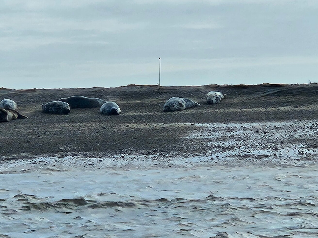 Bishops Boats Seal Trips-布莱克尼必去景点