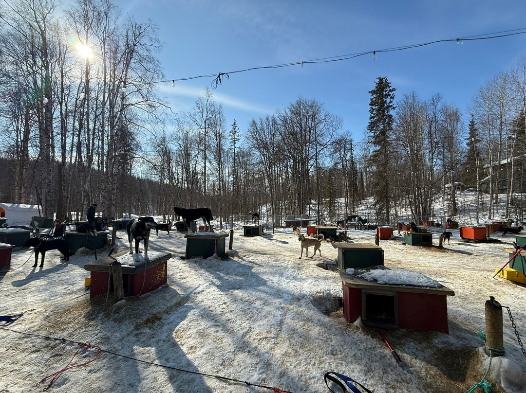 Snowhook Adventure Guides of Alaska-Willow必去景点