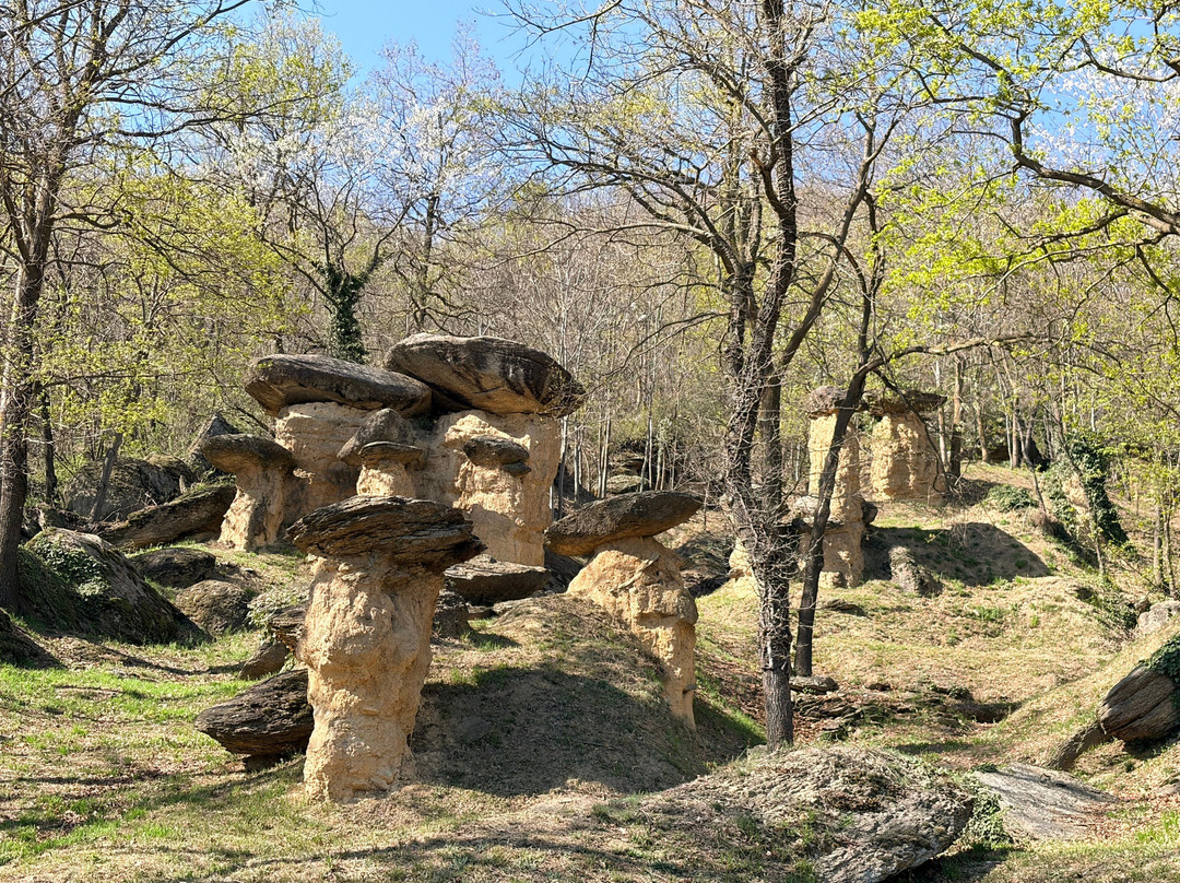 Riserva Naturale dei Ciciu del Villar-Villar San Costanzo必去景点