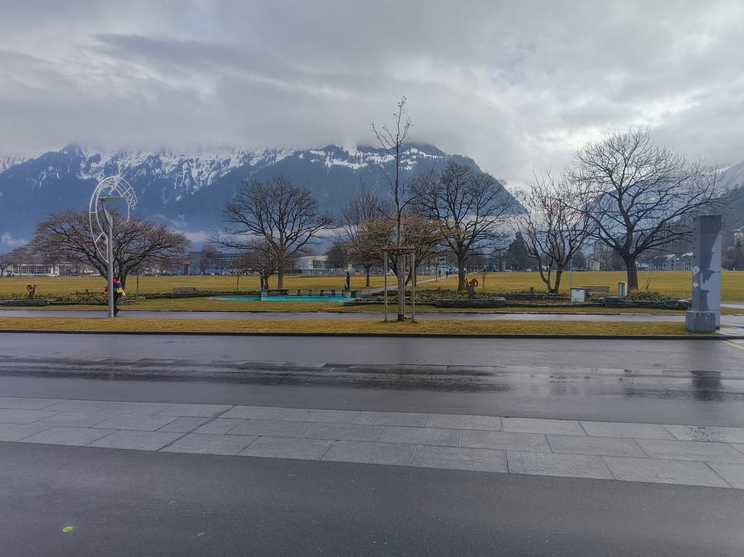 Hohematte Park-因特拉肯必去景点
