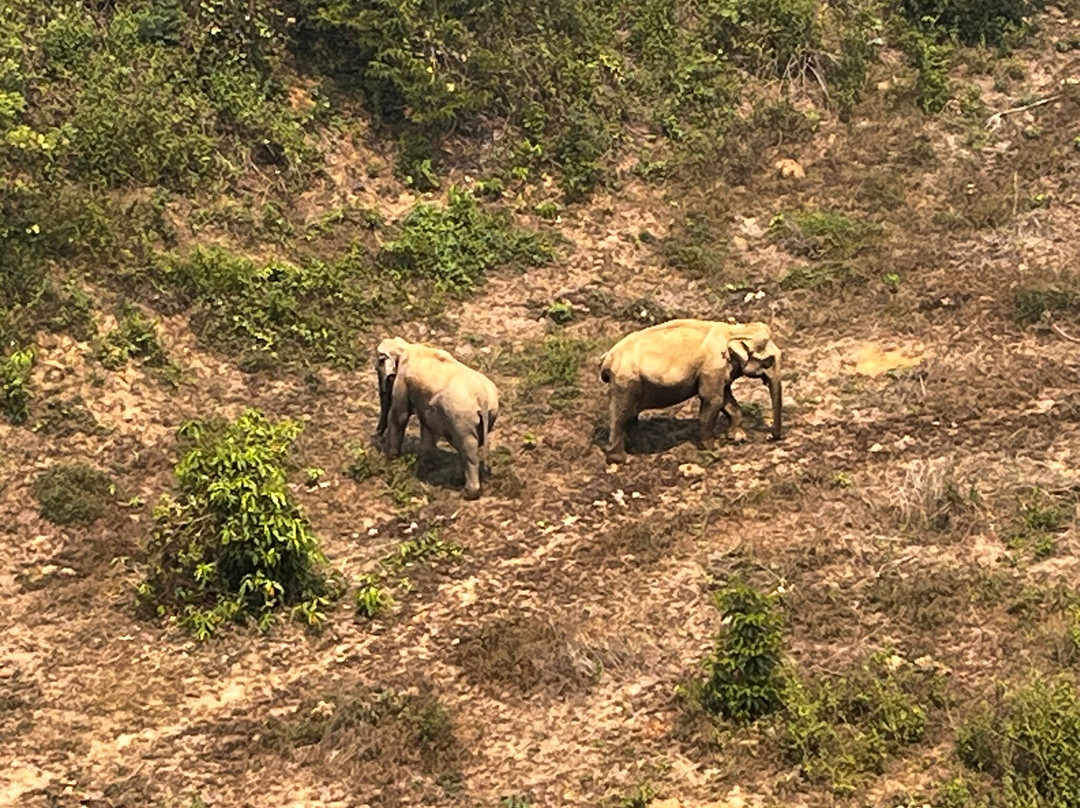 Elephant Conservation Center-Sayaboury必去景点