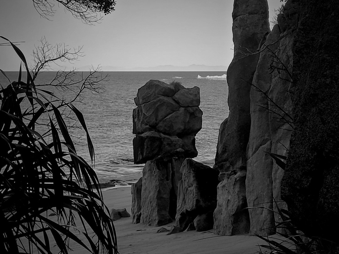 Golden Bay Kayaks-塔卡卡必去景点