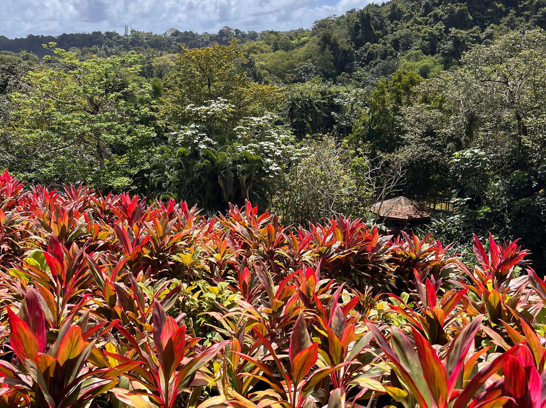 Jardin Botanique de Valombreuse-Petit-Bourg必去景点