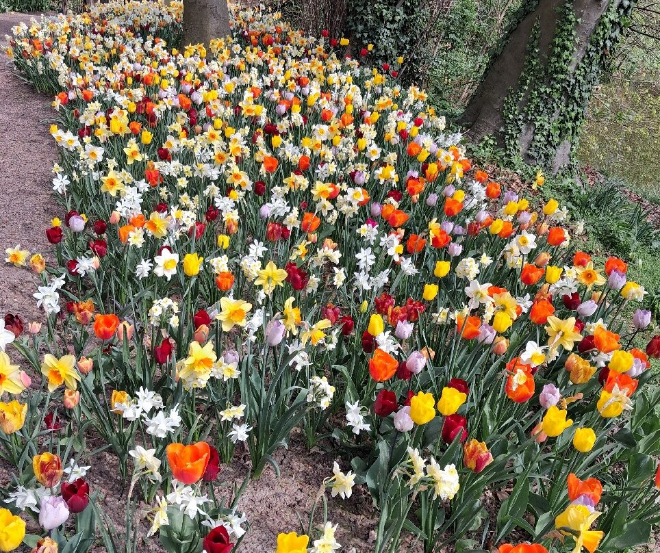 Floralia - Spring Flower Show-古鲁特－北臼阿登必去景点