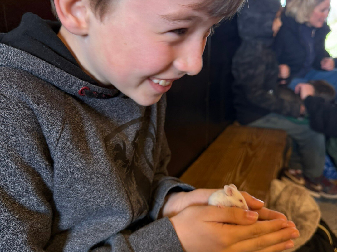Pennywell Farm-Buckfastleigh必去景点