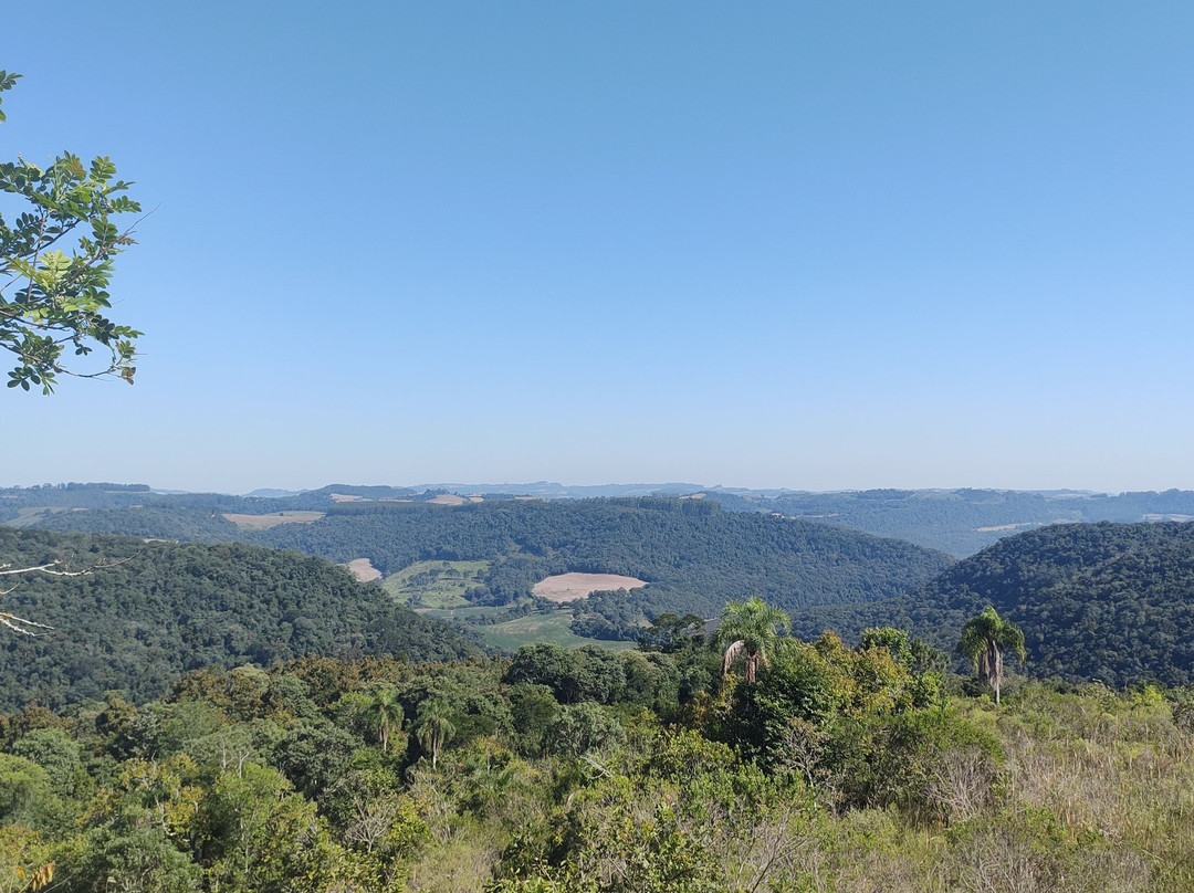 Parque Municipal Teixeira Soares-Marcelino Ramos必去景点