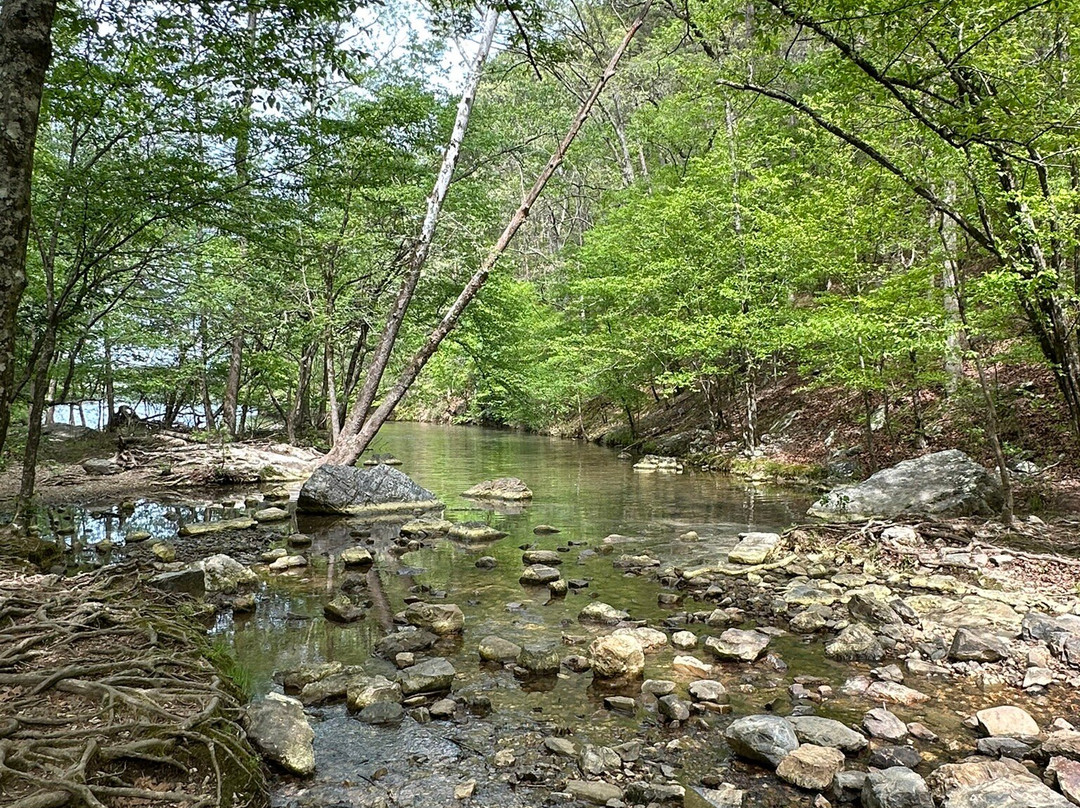 Hot Springs National Park-温泉城必去景点