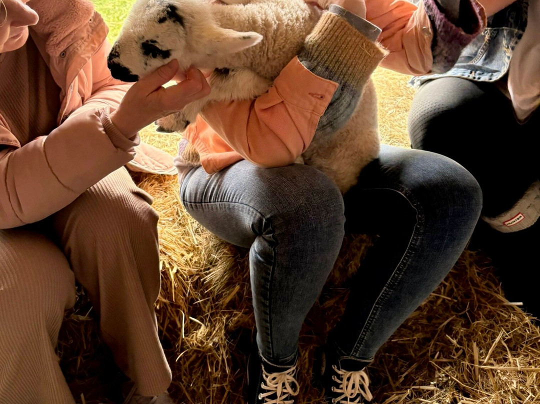 Hazel Brow Farm Visitor Centre-Low Row必去景点