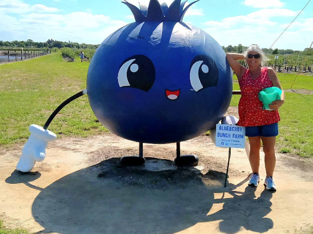 Blueberry Bunch Farm-LaBelle必去景点