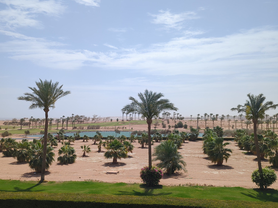 贾兹阿夸维瓦主图