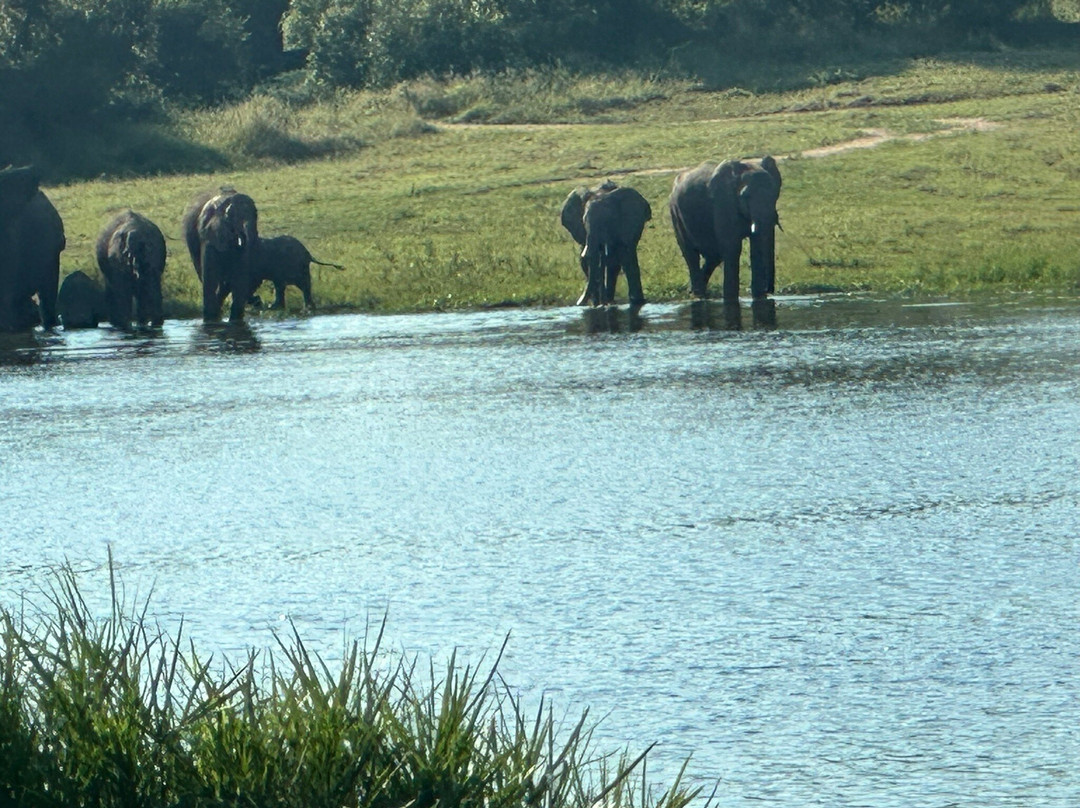 阿拉修萨野生动物园酒店主图