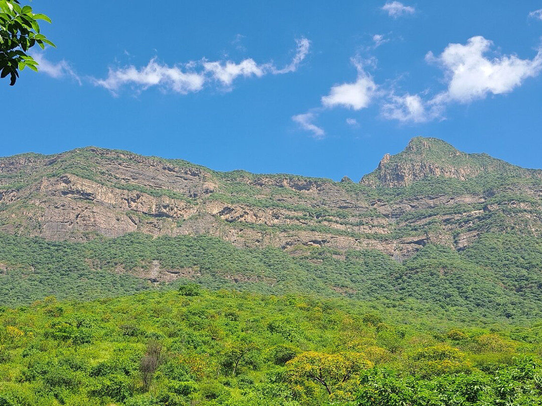 Reserva Ecologica Chaparri-Tucume必去景点