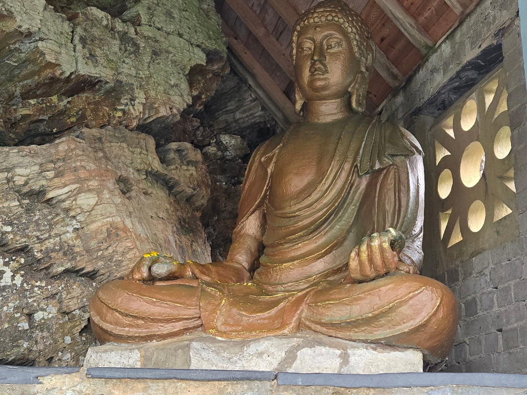 Portmeirion Village-波特梅里恩必去景点