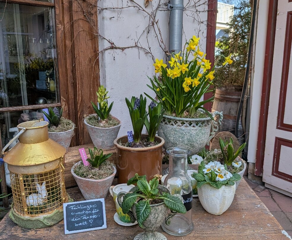 凡斯杜纳可公寓主图