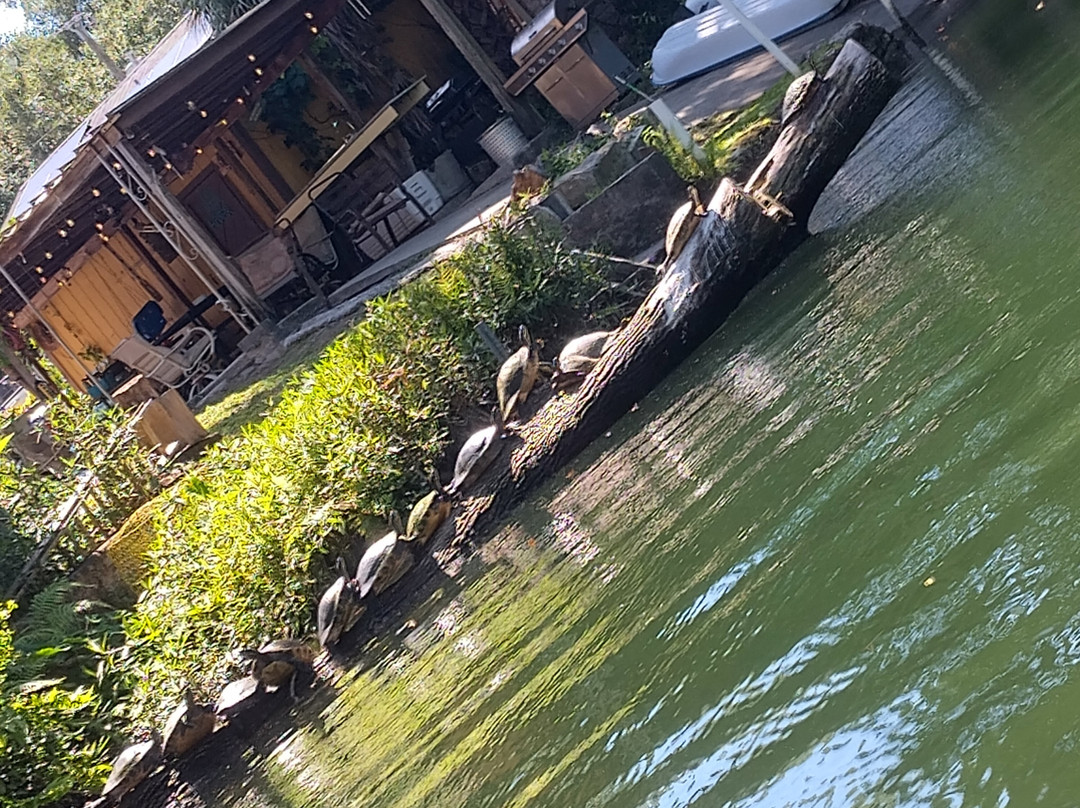 Weeki Wachee Kayaking-Weeki Wachee必去景点