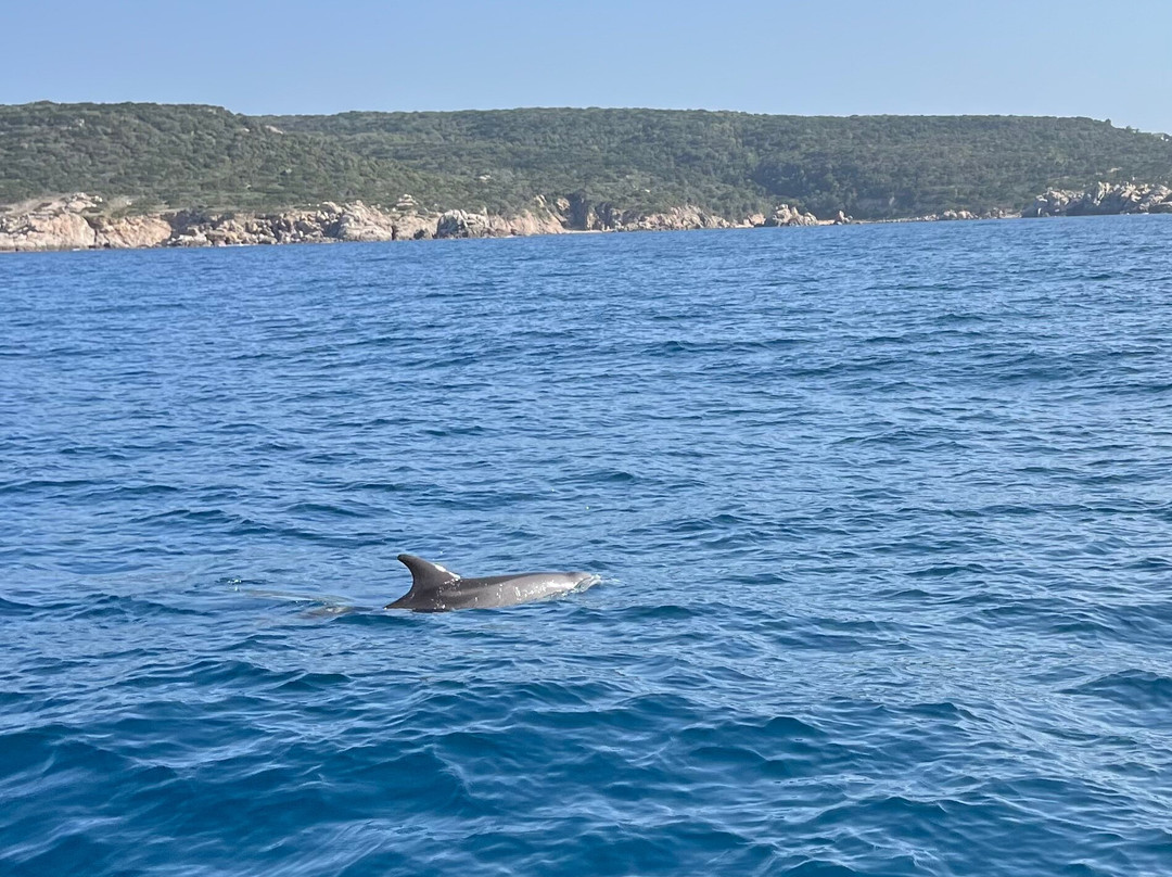 Corse Nautic Escape-博尼法乔必去景点