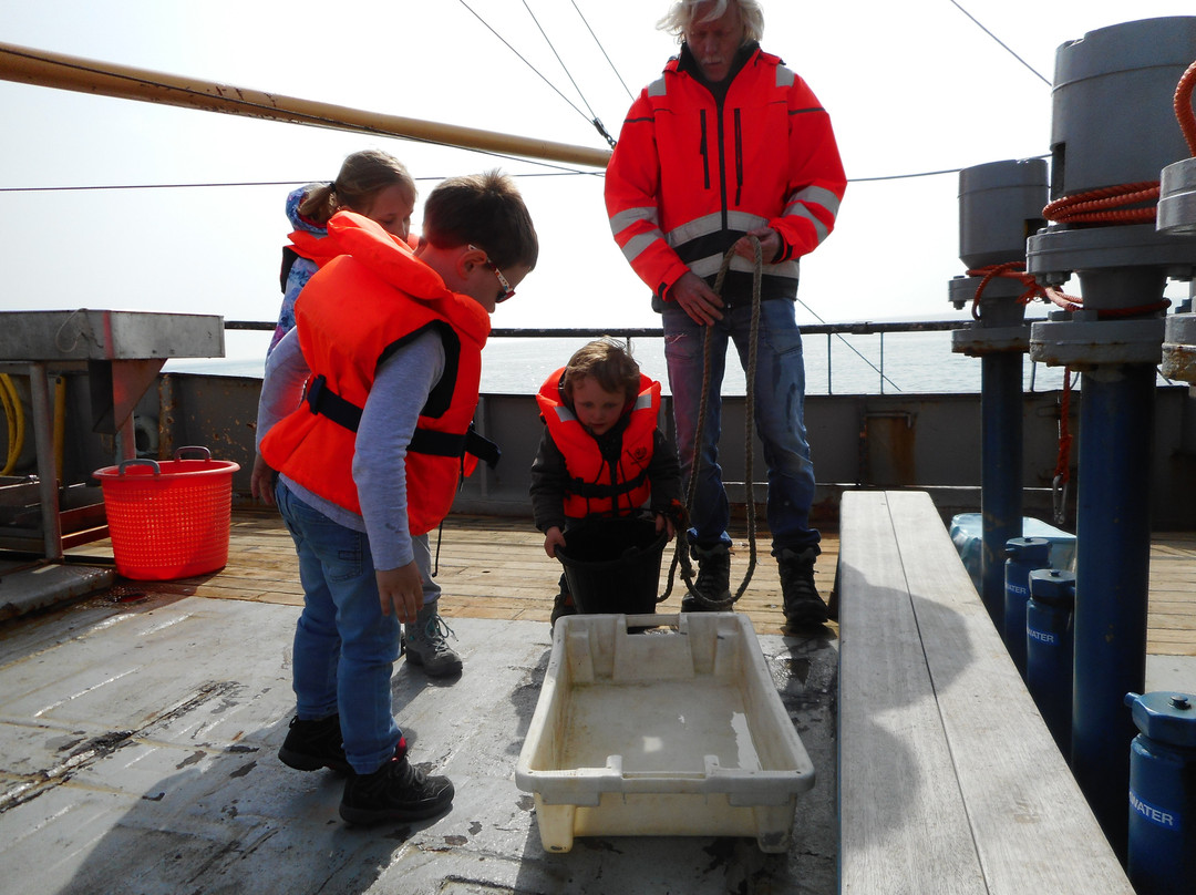 Viking TS3 Sleepnetvissen-West-Terschelling必去景点