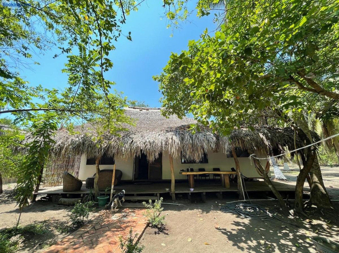 Bokane