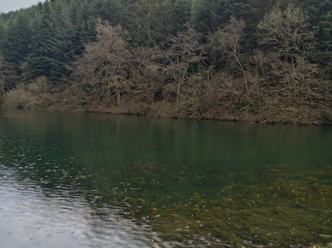 Dalby Forest-皮克灵必去景点