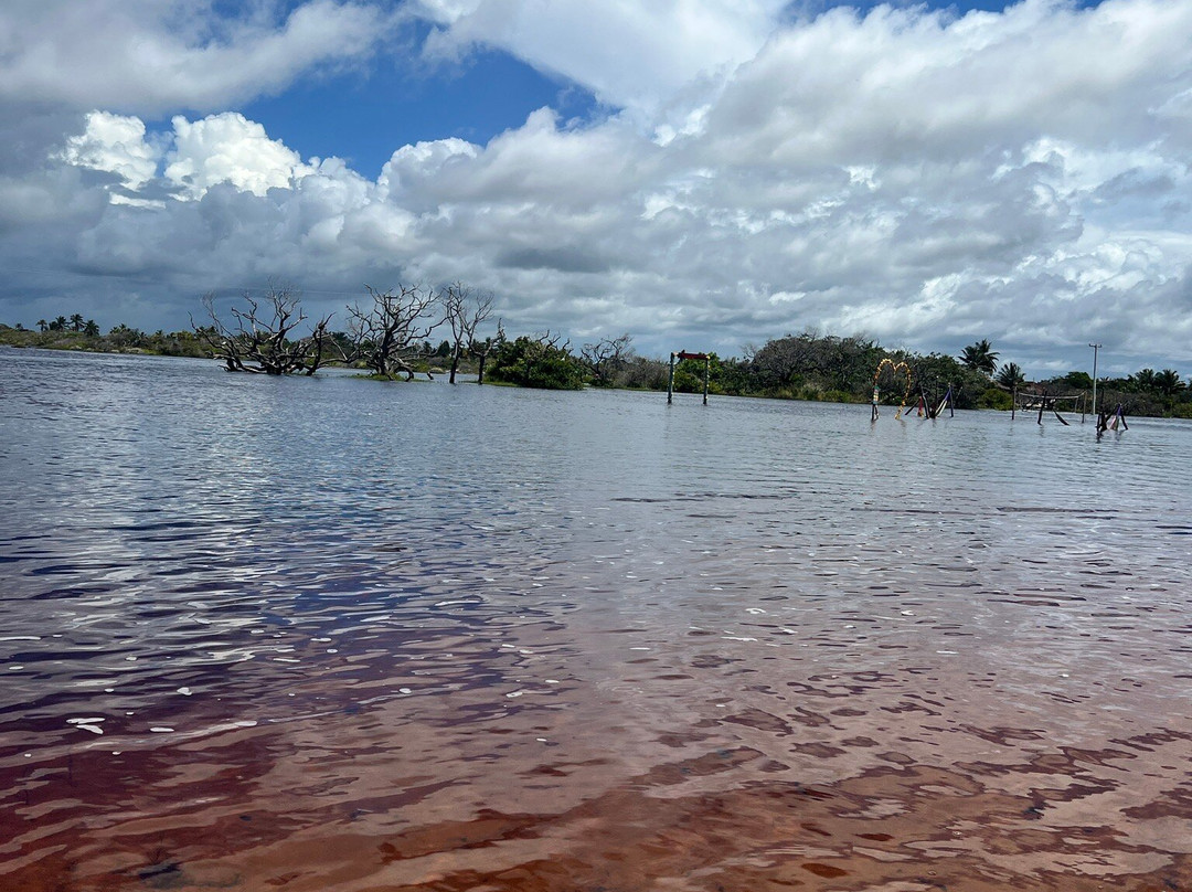 Lagoa Betânia-Santo Amaro do Maranhao必去景点