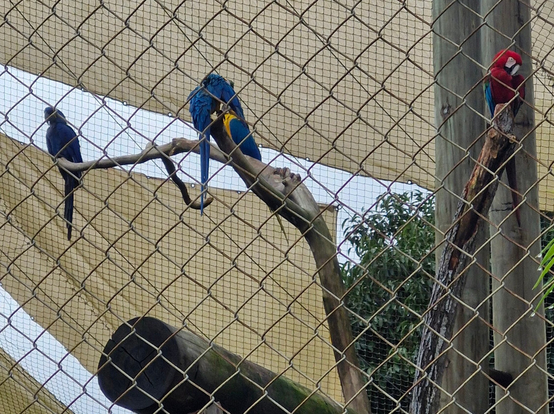 Parque Arvorar-Aquiraz必去景点