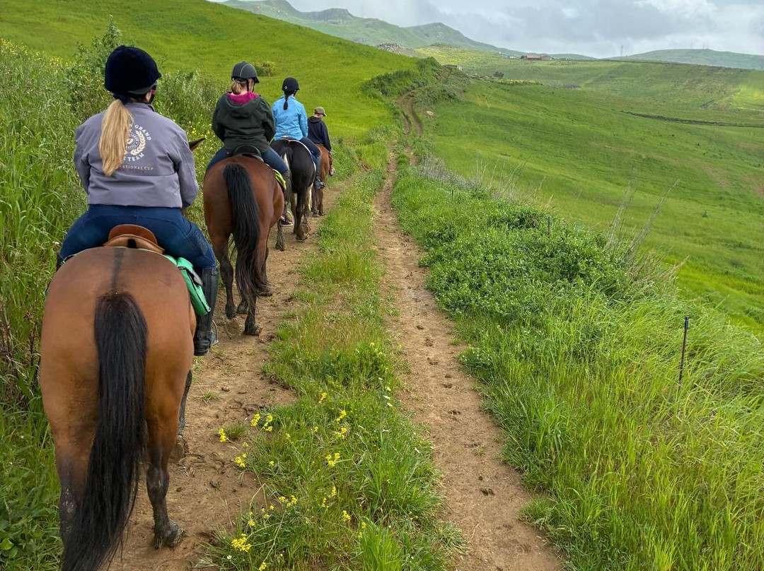 Horse Riding at Pippa's Paddock-Alia必去景点